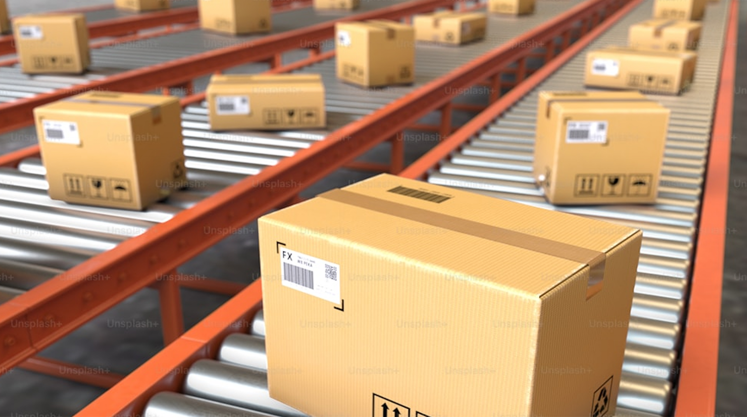 JMH0190 1 scaled 3 1 scaled